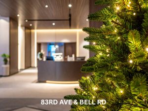 How Permanent Holiday Lighting Benefits Austin Businesses